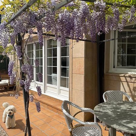 Bakea Apto Con Jardin Privado Bakio Eksteriør bilde