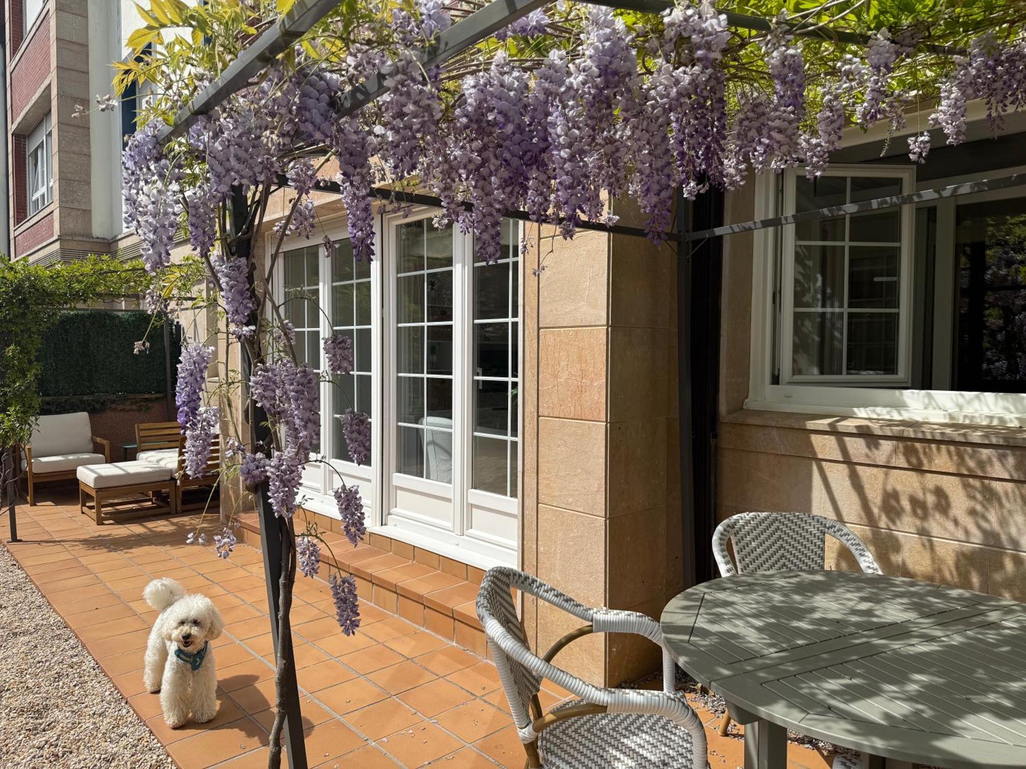 Bakea Apto Con Jardin Privado Bakio Eksteriør bilde